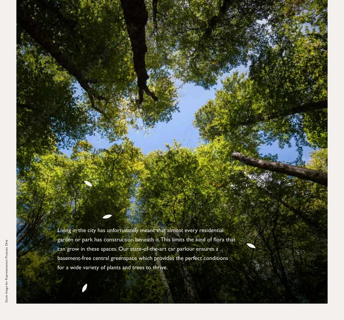 Godrej Vrikshya Sector 103 Gurgaon - tree canopy and green landscape